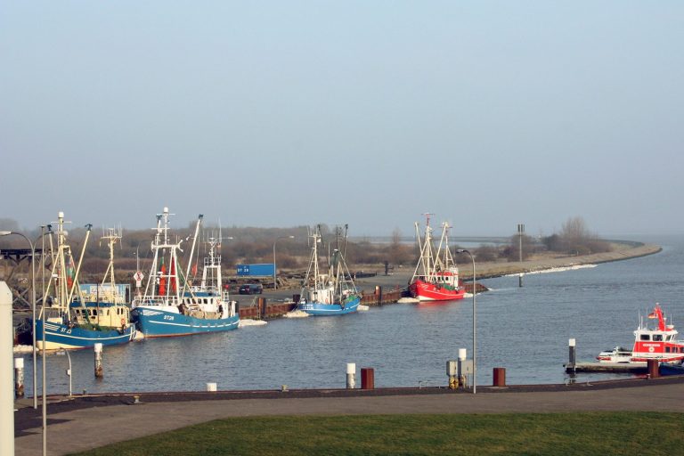 Dangast gut vom Campingplatz zu erreichen.