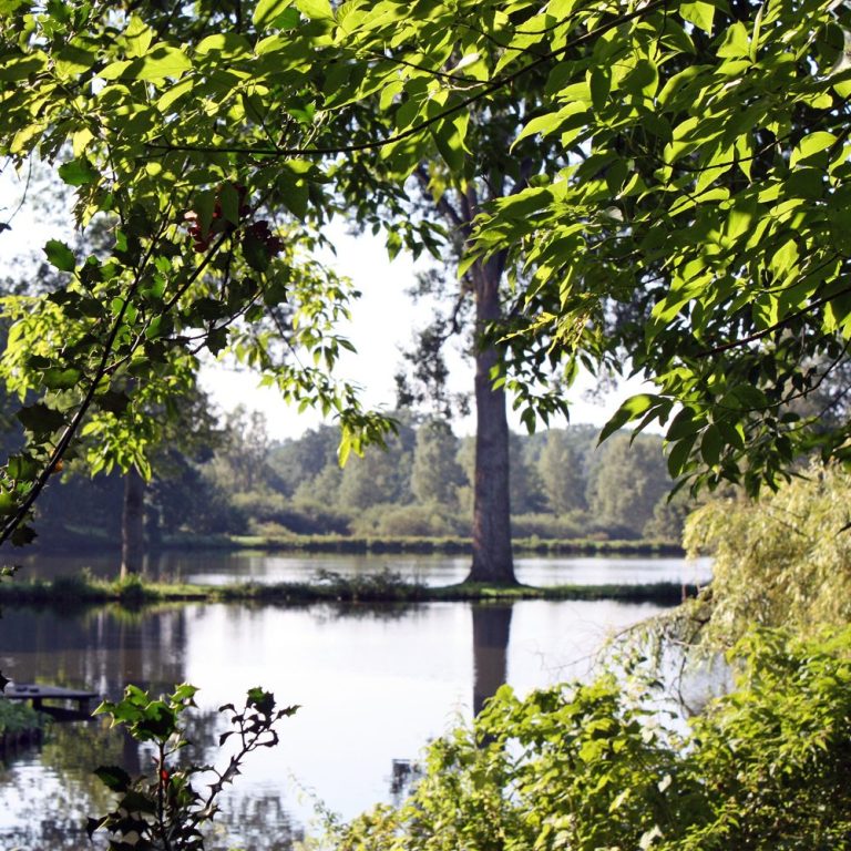 Fischteiche in Dötlingen.