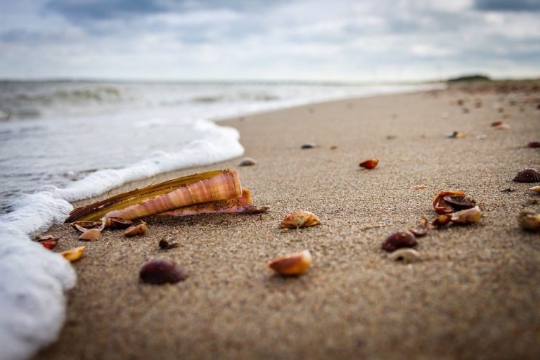 Nordsee immer wieder schön.